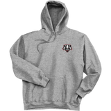 Scary Badgers Ultimate Cotton - Pullover Hooded Sweatshirt