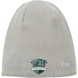 Biggby Barbarians New Era Knit Beanie